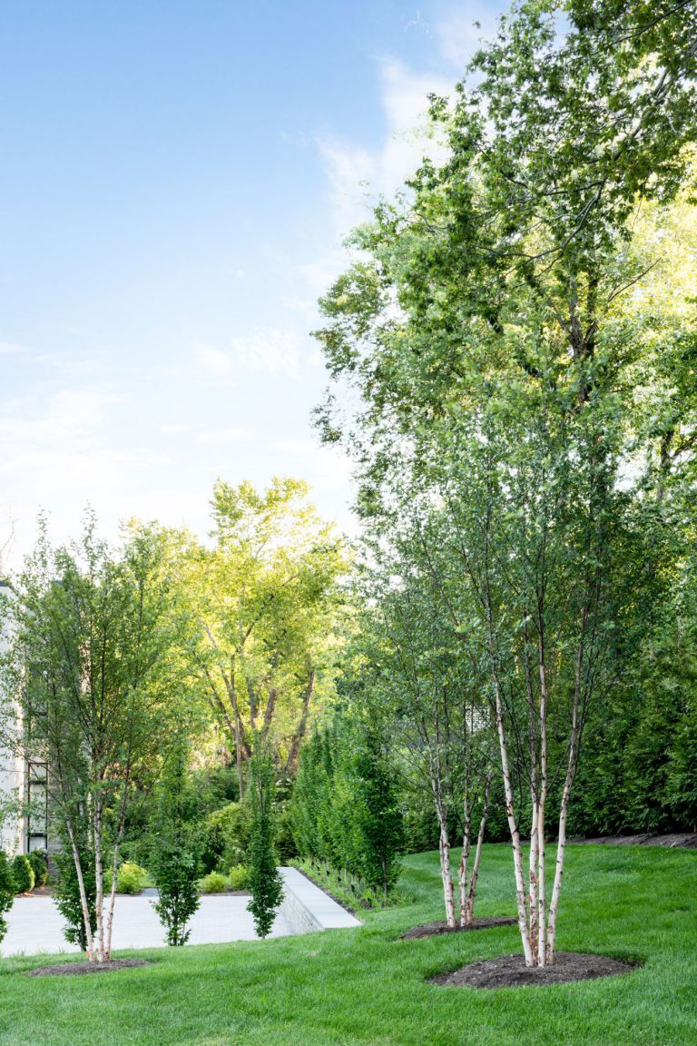 A curved drive, hornbeam hedge, allée of birches, and wildflower meadow together create privacy and lovely elements of surprise on the approach to this new house, which was designed for entertaining. Luxurious, but low-maintenance native and adaptive plantings are integrated into the overall landscape plan to balance the considerable hardscaping and define the lawns. At the front of the house, a massive parking court with subtly striped paving and an elegant retaining wall create a distinctive outdoor room. Guests have a variety of gathering spaces at the rear of the house that include upper and lower terraces for seating and dining, a putting green, and pool and pool deck. A large rain garden in the lower slope completes the program requirements by absorbing drainage and recharging the aquifer.