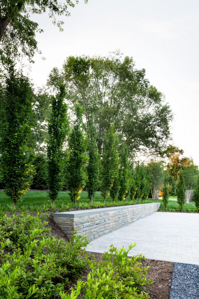 A curved drive, hornbeam hedge, allée of birches, and wildflower meadow together create privacy and lovely elements of surprise on the approach to this new house, which was designed for entertaining. Luxurious, but low-maintenance native and adaptive plantings are integrated into the overall landscape plan to balance the considerable hardscaping and define the lawns. At the front of the house, a massive parking court with subtly striped paving and an elegant retaining wall create a distinctive outdoor room. Guests have a variety of gathering spaces at the rear of the house that include upper and lower terraces for seating and dining, a putting green, and pool and pool deck. A large rain garden in the lower slope completes the program requirements by absorbing drainage and recharging the aquifer.