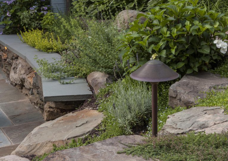 Guided by the client’s goal to solve the shortcomings of an aging, but topographically interesting and beautiful property, the resulting plan comprises four distinct entertaining spaces: A formal upper terrace with outdoor cooking, a dining space framed by a stone seat wall, a densely planted middle terrace with a fire pit, and finally a lower terrace designed for overflow seating and access to the kitchen garden. The entire site overlooks a wooded area and scenic creek. Complemented by Pennsylvania flagstone, plant material includes several varieties of hydrangeas (Hydrangea quercifolia, Hydrangea arborescens ‘Annabelle’), hydrangea macrophylla ‘Endless summer’). Oak Leaf Hollies (Ilex x “Conaf”) and cedar fencing help screen the neighboring property while perennials offer bright accents between the low shrubbery. The joints between pavers and boulders are softened with mazus (Mazus reptans), Blue-Star Creeper (Isotoma fluviatilis), Walker’s Low Catmint (Nepeta x faassenii ‘Walker’s Low’),and rosemary (Rosmarinus officinalis). The hillside serves as a respite, providing the owners a place to unwind and enjoy their garden.