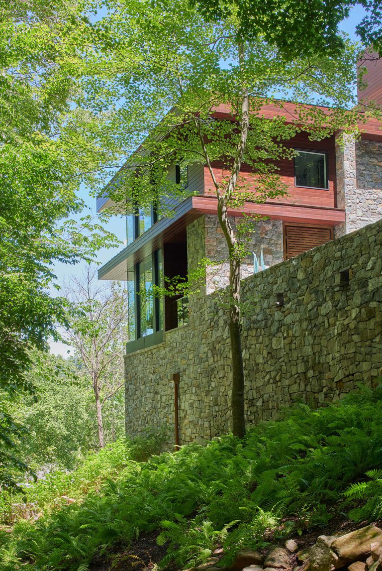 The masterplan for this unique property — a steeply sloping three-acre site and riverfront clearing — included stabilizing eroded creeks, restoring wetlands, and incorporating a massive rain garden to filter storm water flow from the parking court above and other properties further up the hill. The owners, a family with four dogs, also had requirements that included adequate parking for entertaining, a dedicated recreation space for the dogs, and a beautifully blended network of new plantings, hardscape, and sculpture to be seen from and complement the linear forms of their organic-modern home in the woods.