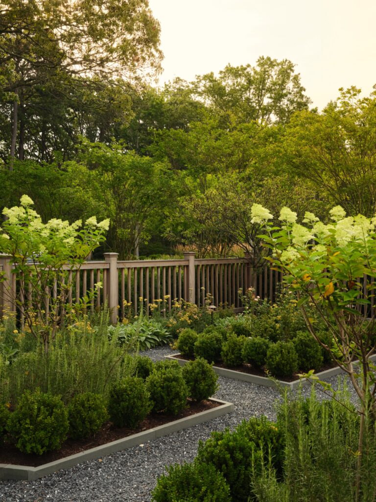 A manicured garden features rectangular gravel paths framed by low boxwood hedges and tall, flowering white hydrangea bushes. In the background, a wooden fence separates the garden from a dense line of lush green trees.